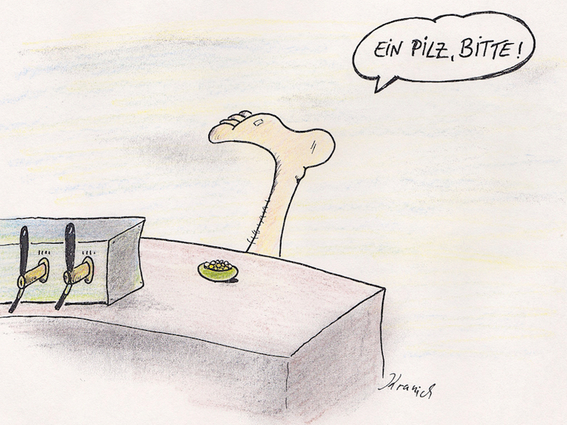 Pilz